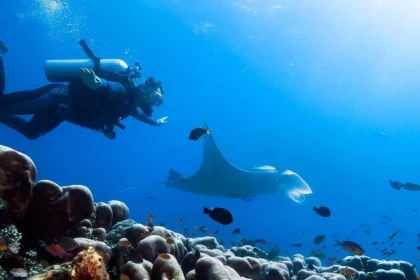 Exploring the Top Dive Resorts for Beginners and Experts Alike