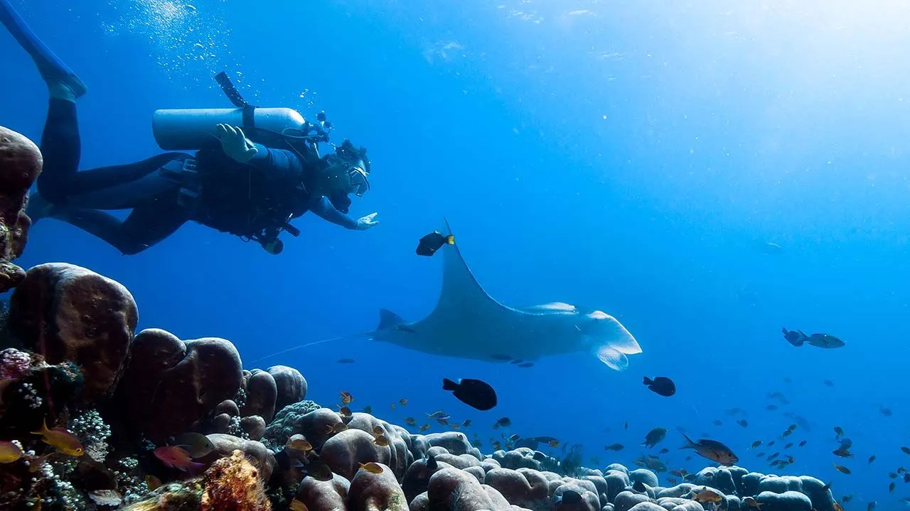 Exploring the Top Dive Resorts for Beginners and Experts Alike